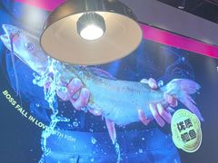 -老板恋上鱼(高新万达店)