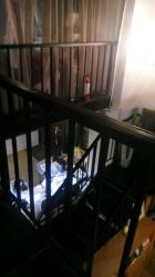 点击看大图 -素颜秀半永久纹眉纹眼线