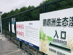 -鹦鹉洲湿地公园