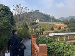 -宁波富邦荪湖山庄