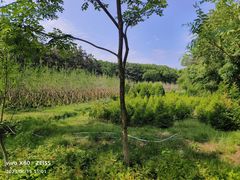 -长春净月潭风景名胜区