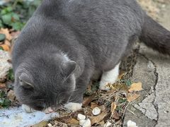 -富临轩私房菜(集庆门大街店)