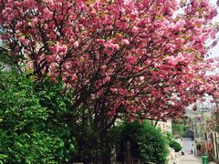 iphone_upload_pic-八大关景区