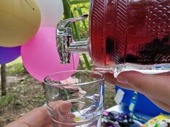 -长白岛森林公园