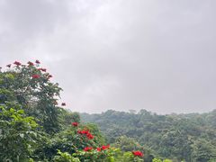 -火炉山森林公园