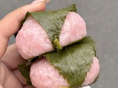 -辛一·铜锣烧(鸿寿坊店)