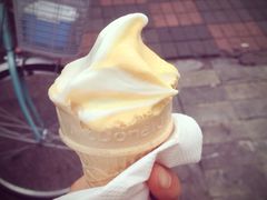 布丁甜筒-麦当劳(曲阳店)