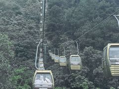 -黔灵山公园