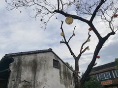 -南浔古镇
