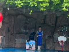 -灵玲国际马戏城