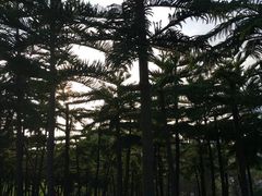 -五通灯塔公园