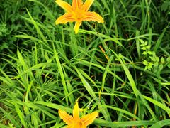 -白马涧龙池景区