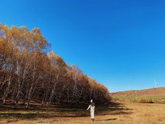 -塞罕坝国家级自然保护区