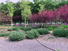 -永定河休闲森林公园