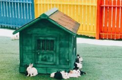 -萌宠亲子动物乐园(槐房万达店)