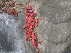 -崂山九水游览区
