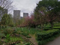 -重庆彩云湖湿地公园