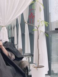 -U·NI SALON 造型