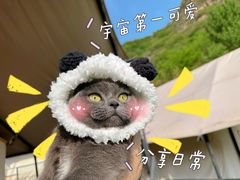 -北京山里寒舍度假酒店