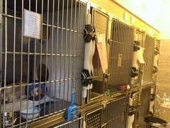 -瑞派宠物医院(锦江店)