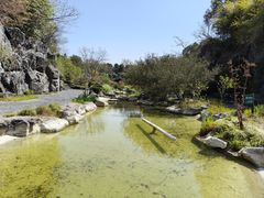 -上海吴淞炮台湾国家湿地公园