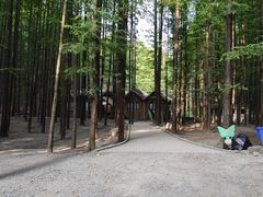 -山王坪喀斯特国家生态公园