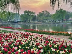 -石家庄市植物园