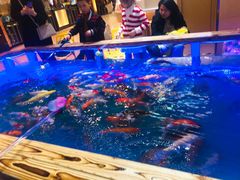 -天虹购物中心(石路店)