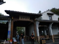 -天目山大树王景区