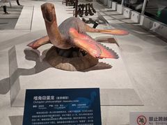 -国家自然博物馆