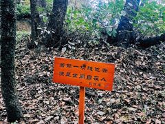 -寂照庵