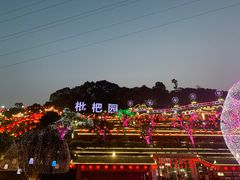 -枇杷园食为鲜火锅(南山店)