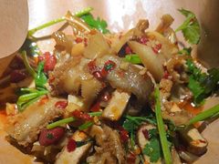 湘辣热卤-费大厨辣椒炒肉(高铁吾悦广场店)