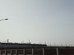 -海堤纪念公园