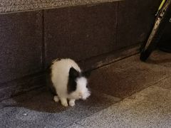-崔记生活·铁锅炖鱼粘卷子(总店)