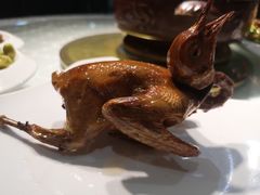 当家手撕鸽-琬苑鸽庄·川粤融合菜(解放碑总店)