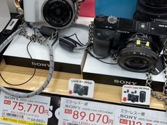 -Bic Camera (难波店)