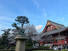 -浅草寺