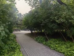 -玲珑塔公园