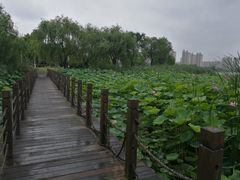 -潜龙渠公园