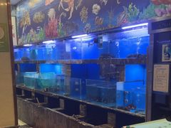 -金陵食府(林景店)