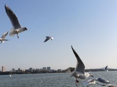 -蠡湖大桥公园