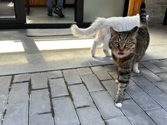 -创艺无限·赵春香微妙艺术馆