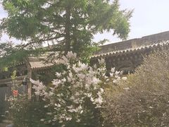 -丹噶尔古城