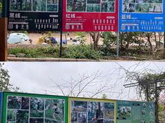 -芦仙山景区-飞越丛林探险乐园