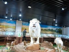 -陕西自然博物馆