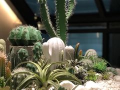 -大树餐厅(红旗街万达店)