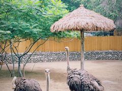 -北京野生动物园