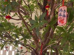 -静耳元気采耳·按摩·SPA(万象前海店)