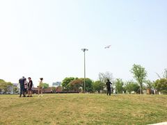 -新木器时代餐厅(太湖新天地店)